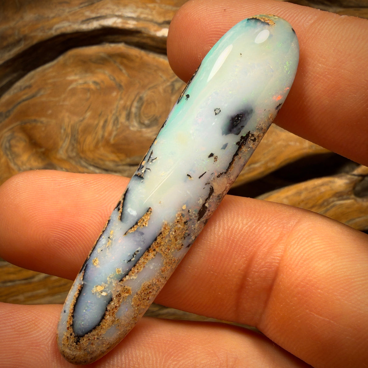 43.1cts - Large Solid Australian Boulder Pipe Opal