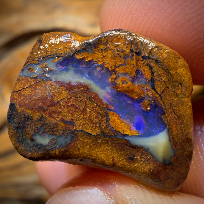 43.5cts - Yowah Nut Opal Rough Piece