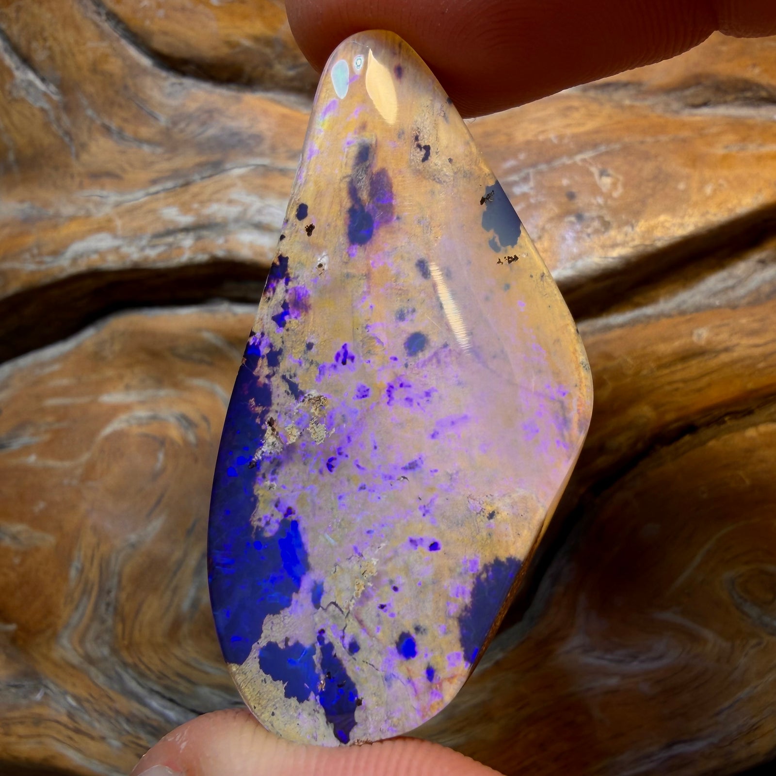 43.6cts - Solid Australian Boulder Pipe Opal. Top Rockpool Pattern!