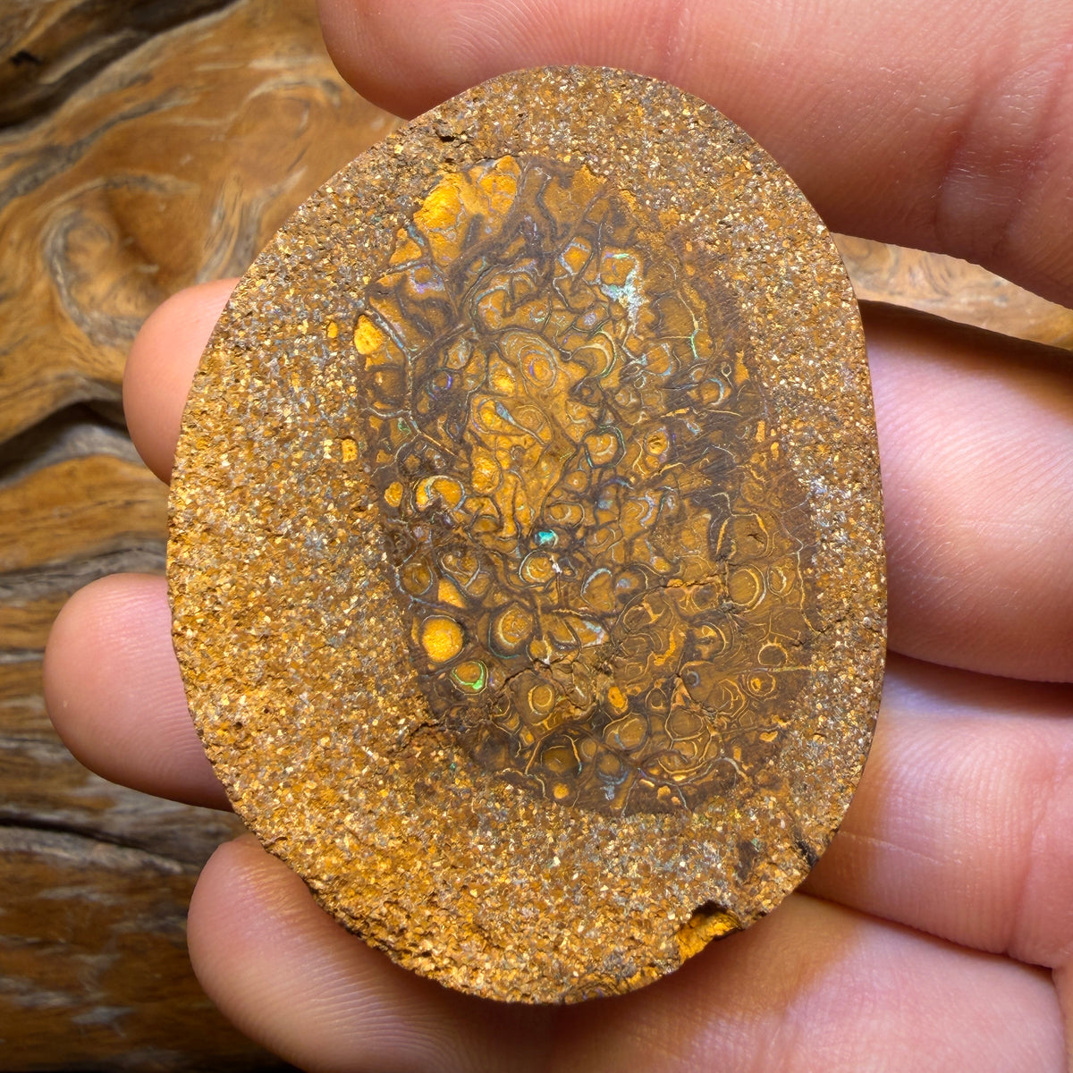 Wild Card! 289.4cts - Huge Tan Intricate Tribal Queensland Boulder Opal from Yowah