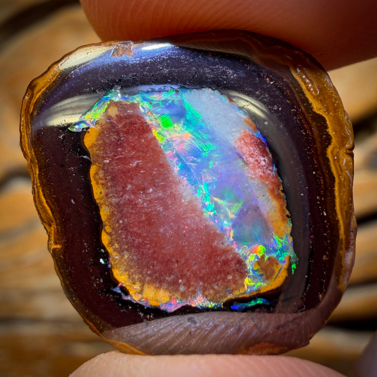 Collectors Card ! 46.9cts - Yowah Nut Partial Crystal Centre Opal Pair Polished