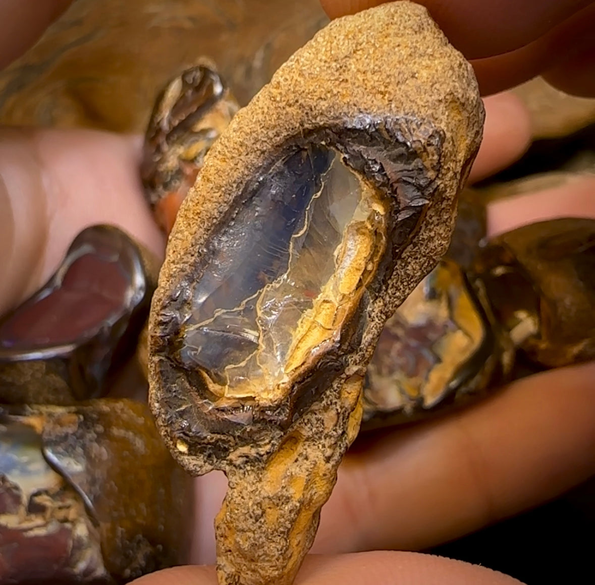 (Template) 143.5g- 10x Queensland Boulder Opal Baroque Specimens - Opal Whisperers