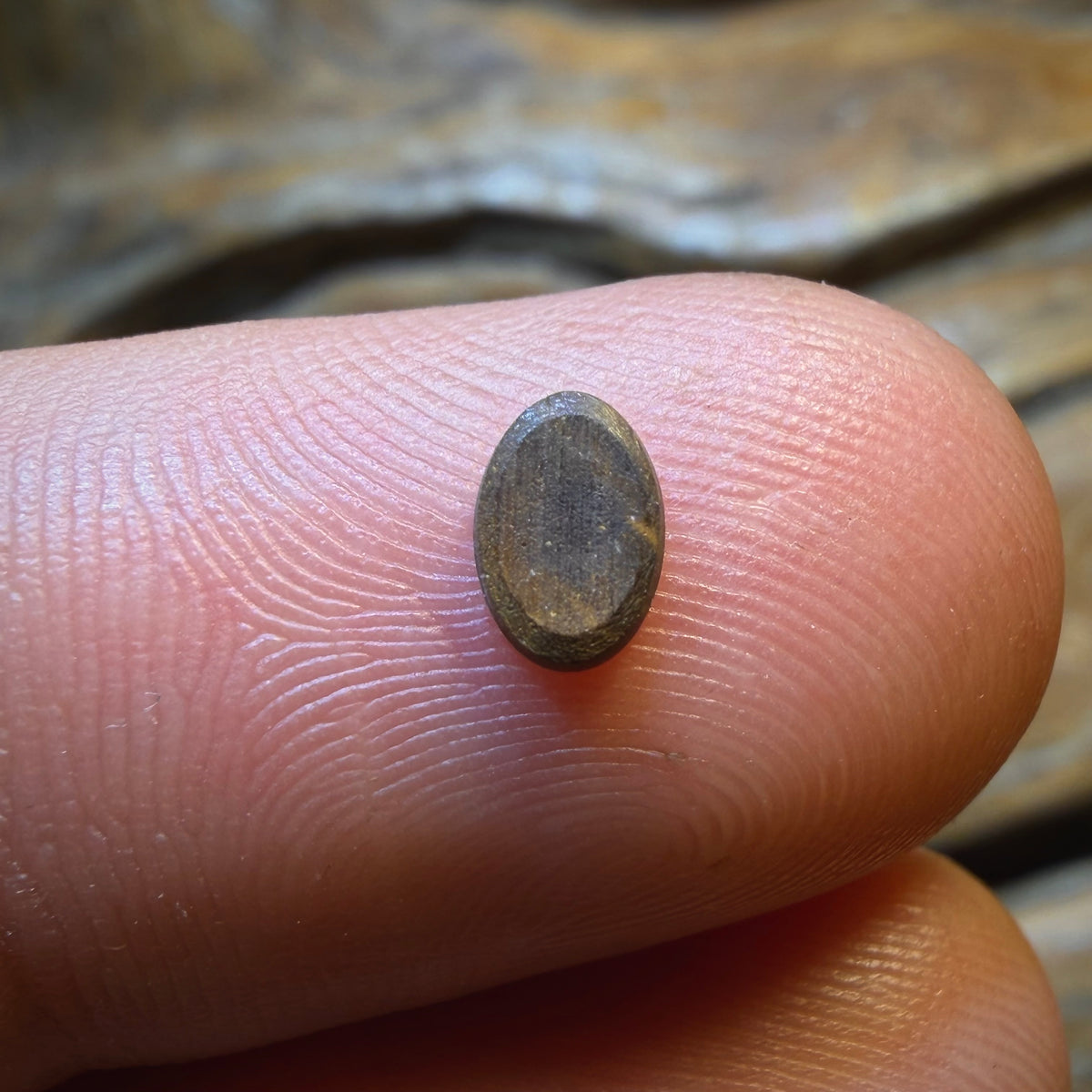 🔨 AUCTION 🔨 No Reserve 0.3cts - Australian Boulder Opal Doublet