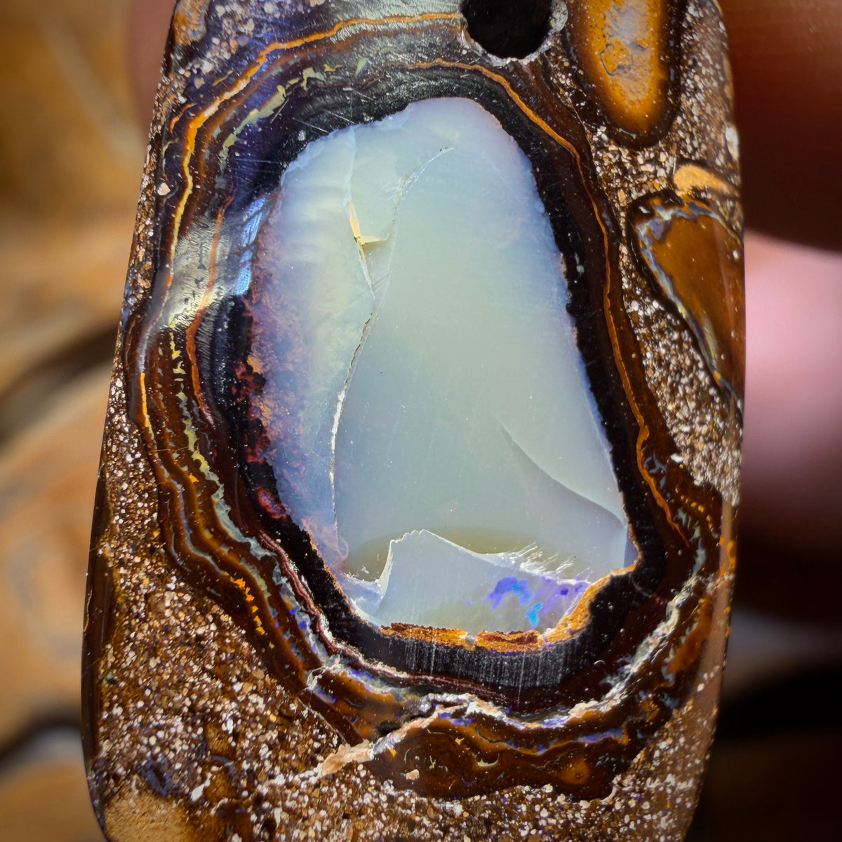 🔨 AUCTION 🔨 No Reserve  28 x 17mm - Kernel Drilled Queensland Boulder Opal Kernel Necklace