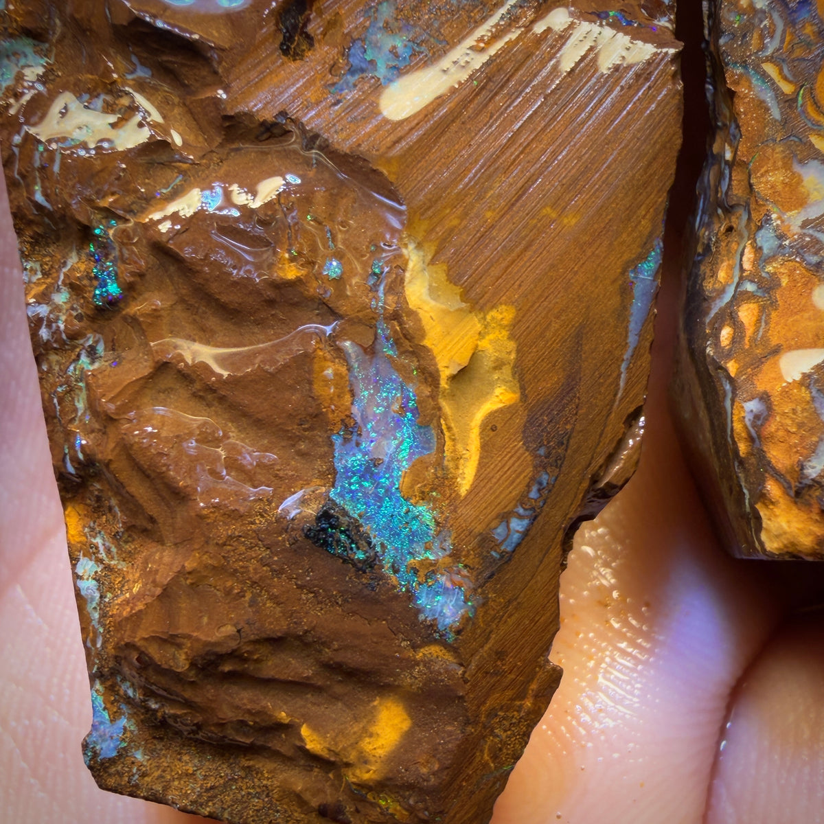 50% Off Card! 420.4cts - 3x Yowah Nut Rough Opal Parcel. Australian Opal