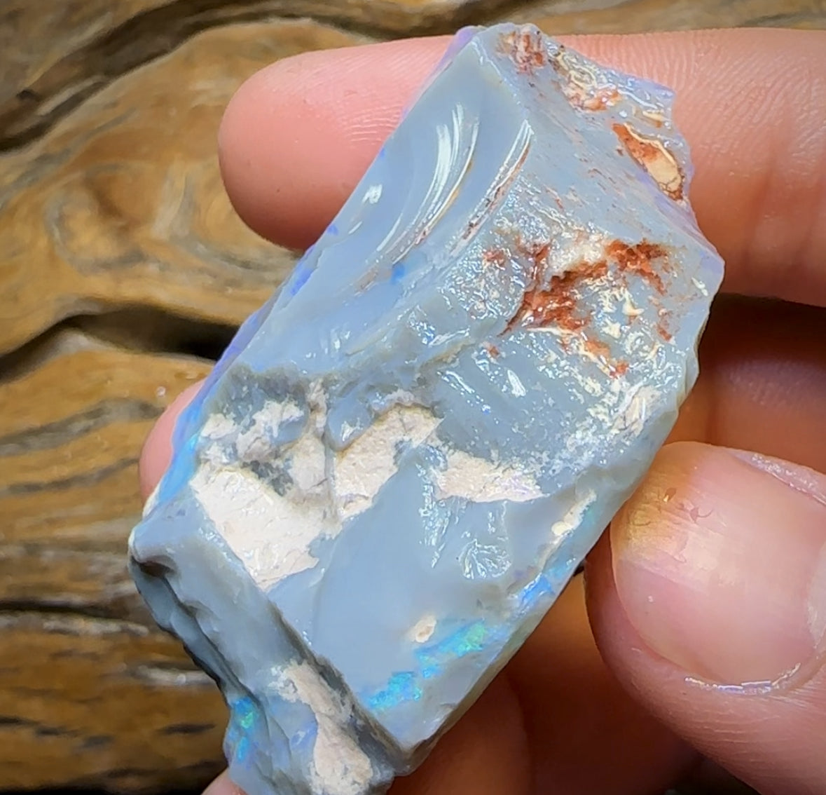 186.8cts - Large Lightning Ridge Opal Rough Piece. GEM Cutter!