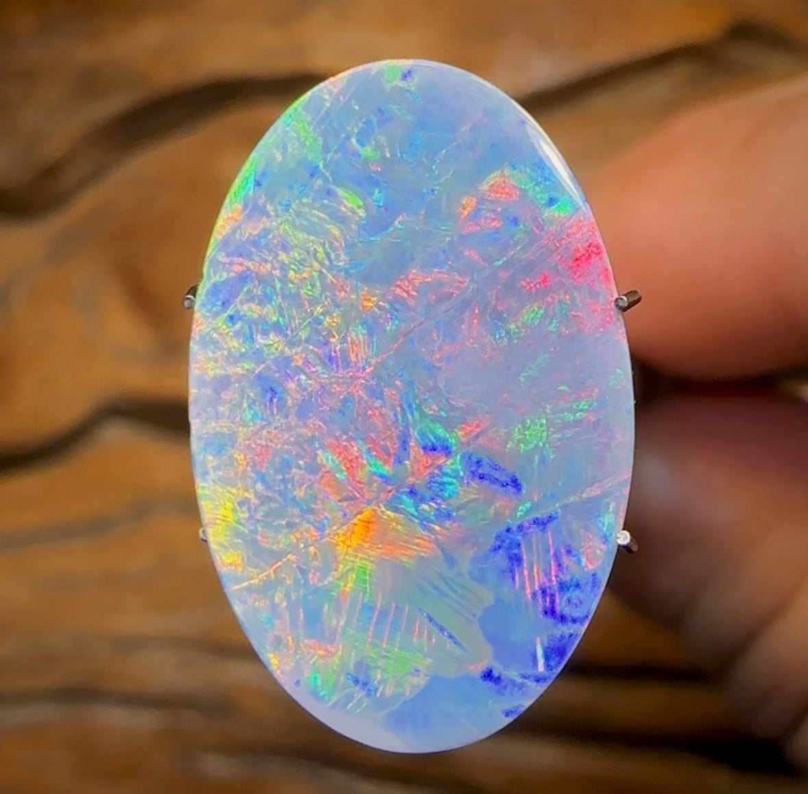 7.4cts - Large Lightning Ridge Black Opal Doublet - Opal Whisperers