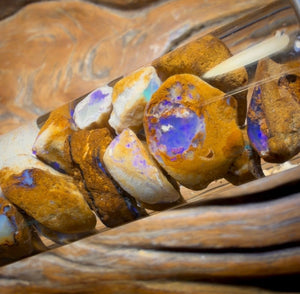 124,7 ct – Phiole mit Yowah-Nussopal-Rohstein und fossilem Opal