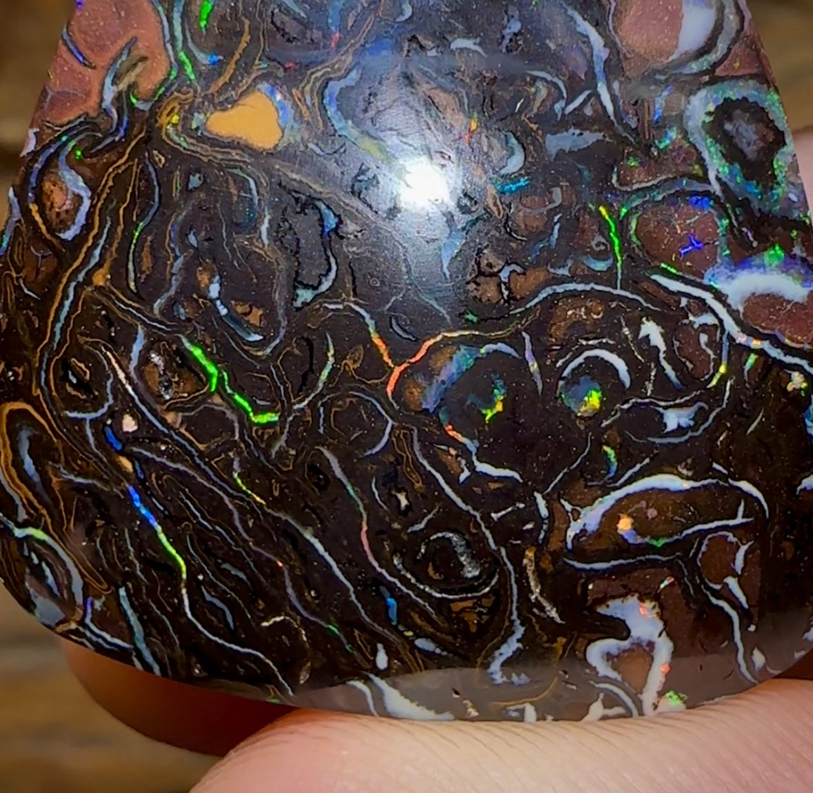 78.8cts - Tribal Australian Boulder Opal. Heritage Collection - Opal Whisperers