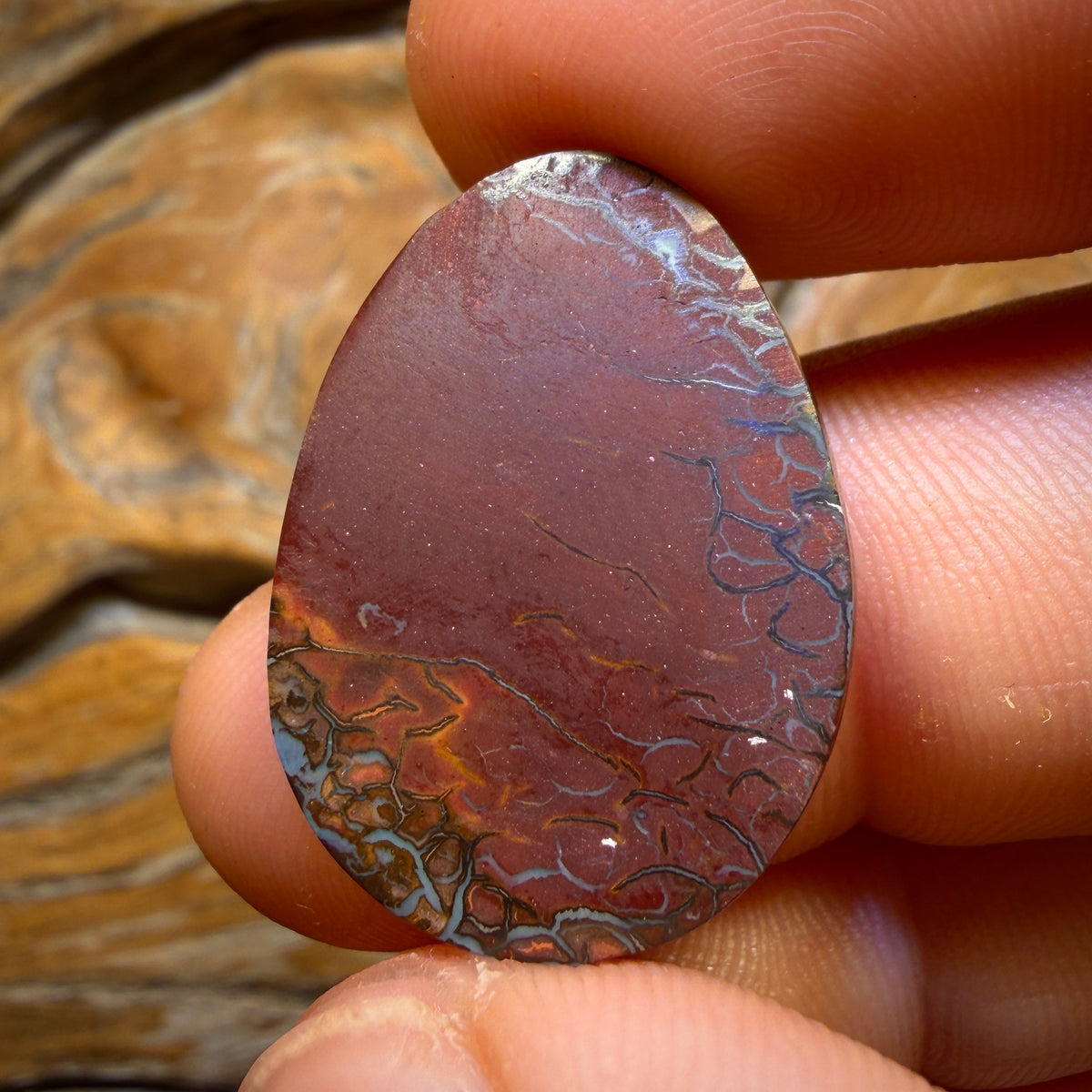 24.5cts - Tribal Queensland Boulder Opal from Koroit