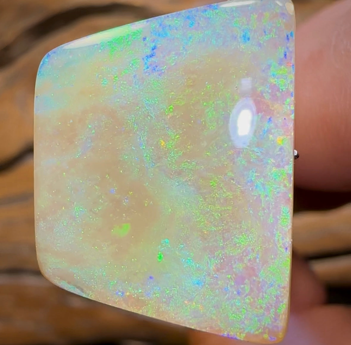 19.1cts - Yowah Nut Pure  Golden Crystal Opal. Old Material Super Rare - Opal Whisperers