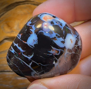 251,5 carats - Gros spécimen rare d'opale noire boulder tribale polie
