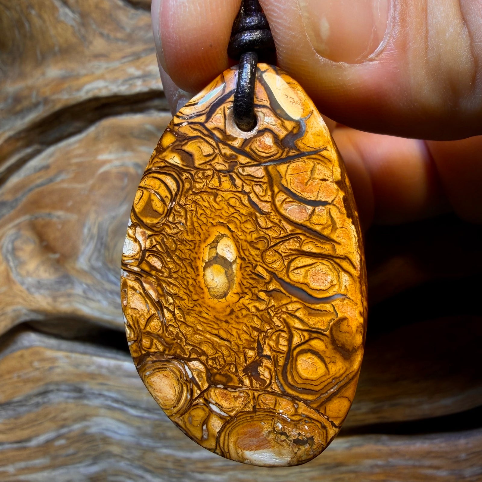 43 x 27mm - Drilled Tribal Queensland Boulder Opal Necklace l