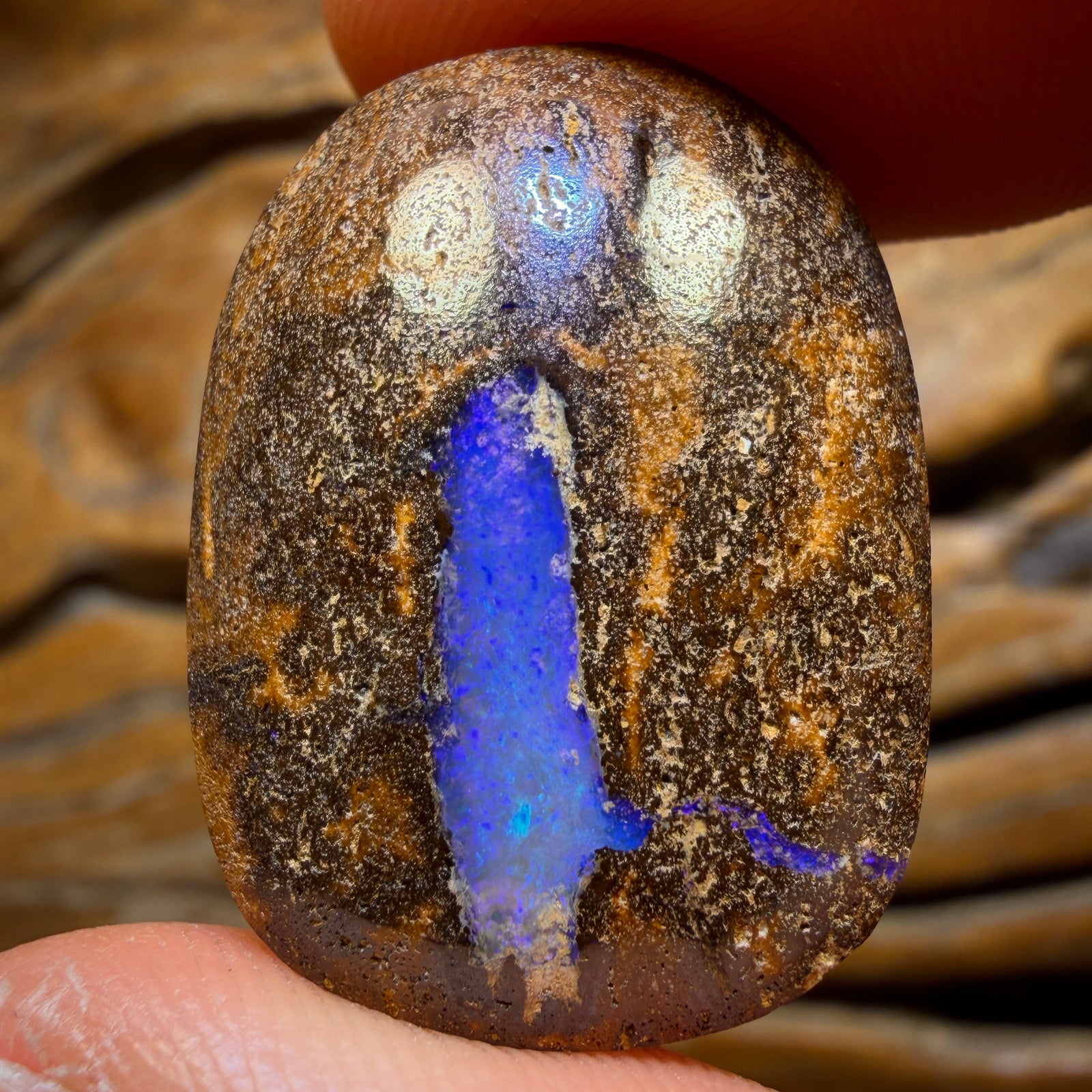 44.4cts - Queensland Boulder Seam Opal from Winton