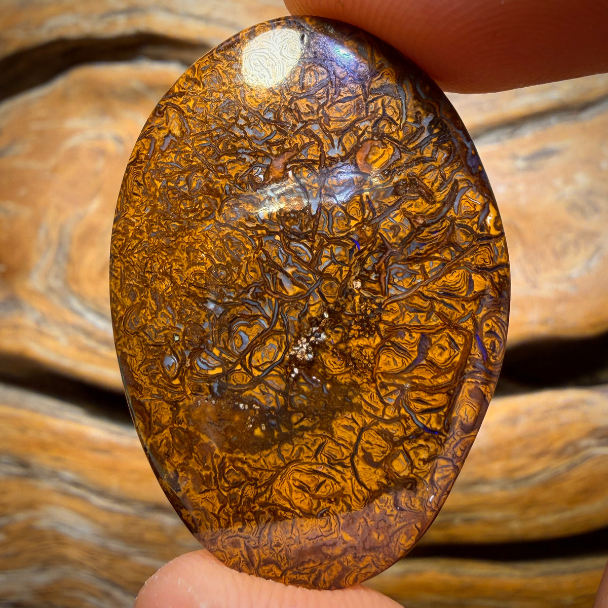 44.6cts - Tribal Yowah Nut Opal. Australian Opal