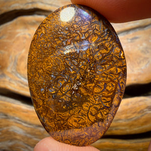 44.6cts - Tribal Yowah Nut Opal. Australian Opal