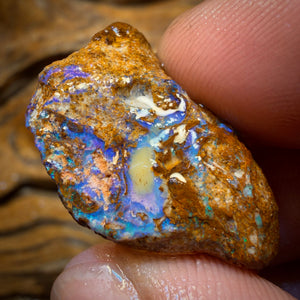 44.9cts - Opalised Wood/Vegetation Fossil Rough Piece from Yowah