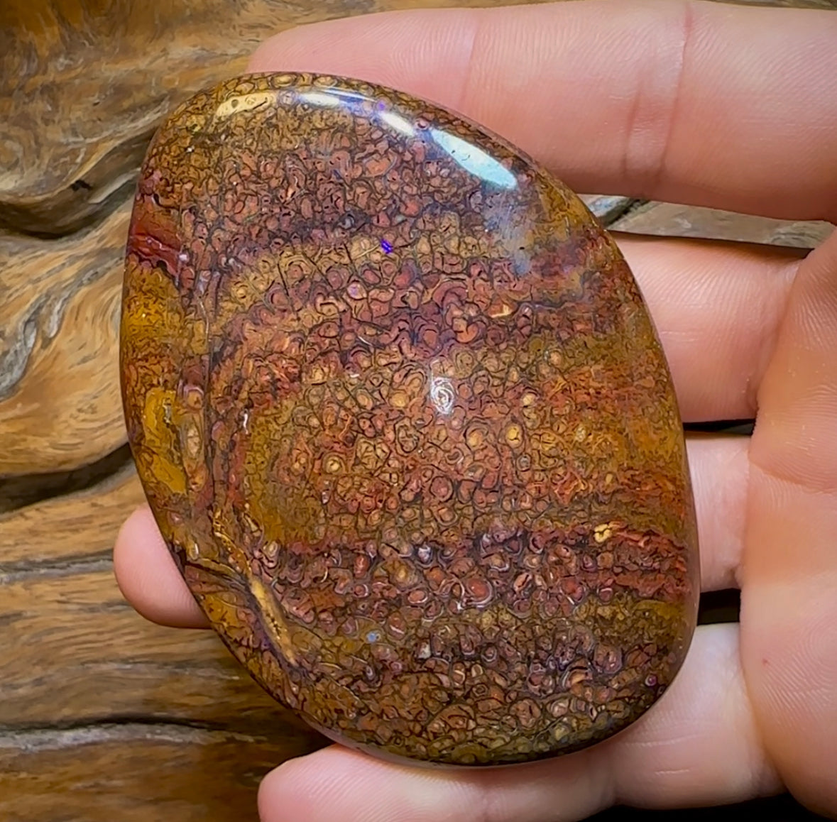 546.6cts - Huge Polished Tribal Yowah Nut Opal Specimen - Opal Whisperers