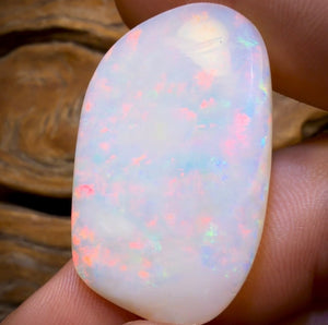 40.9cts - Large Olympic, South Australian White Opal