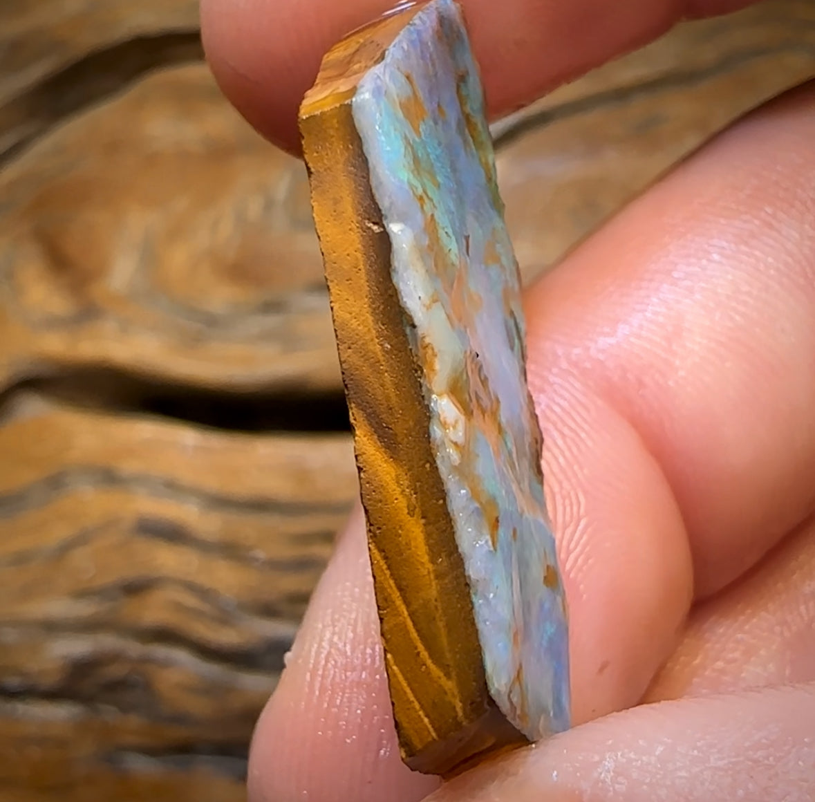 25.1cts - Queensland Boulder Opal Preform Rub