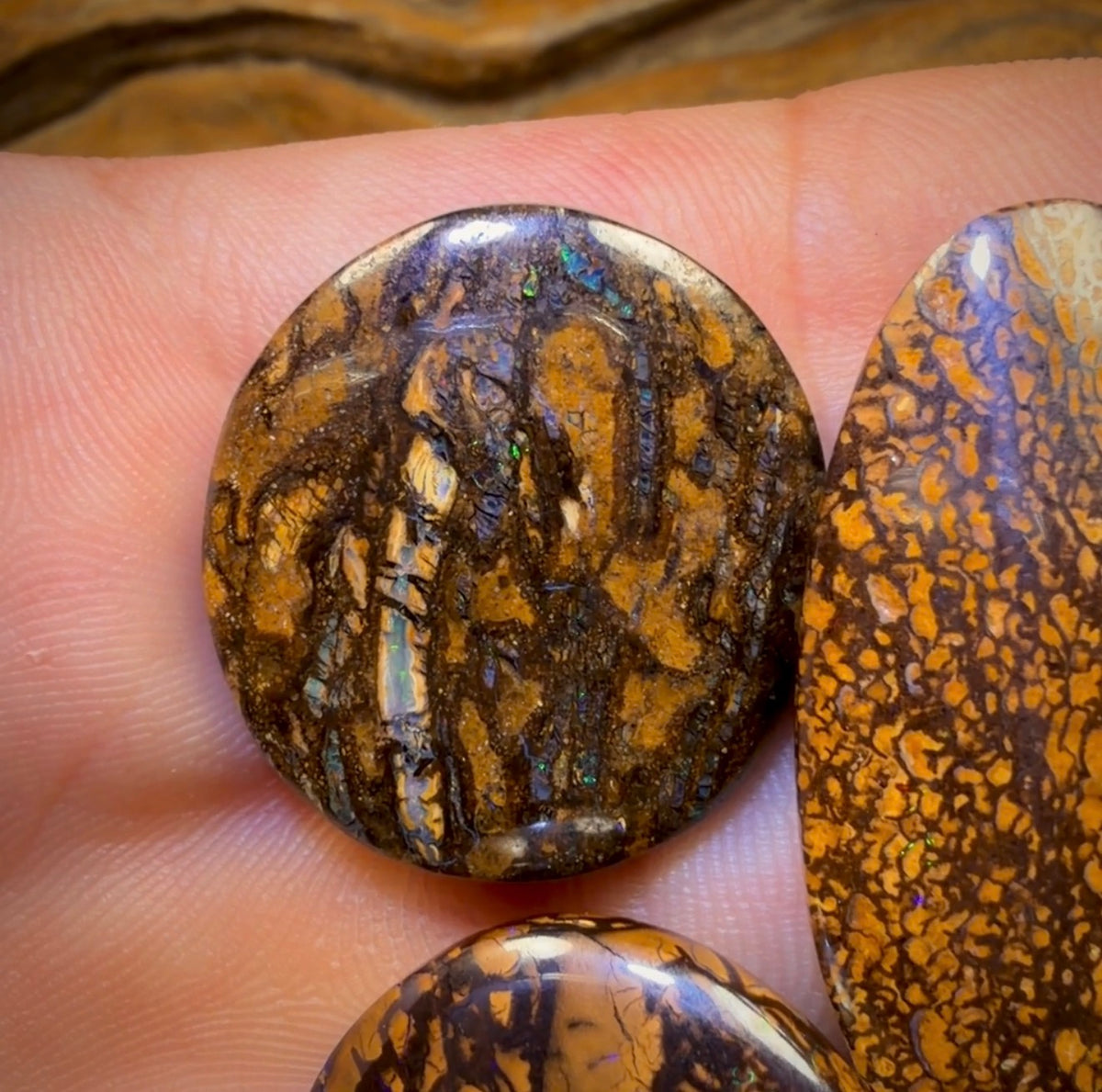 159.1cts - 5x Australian Tribal Boulder Opal’s. Wholesale Dealers Parcel