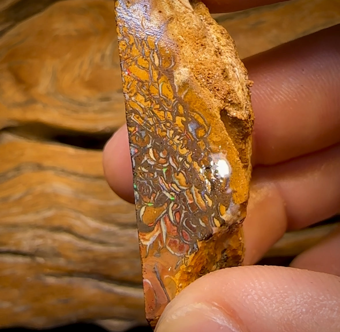 154cts -  Tribal Queensland Boulder Opal Rough Piece