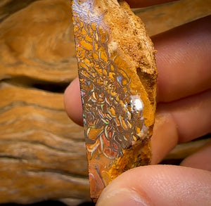 154cts -  Tribal Queensland Boulder Opal Rough Piece