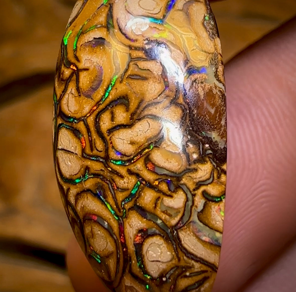 28.5cts - “Celebrity Stone” Top Tan Tribal Yowah Nut Opal. Featured on “Outback Opal Hunters”!