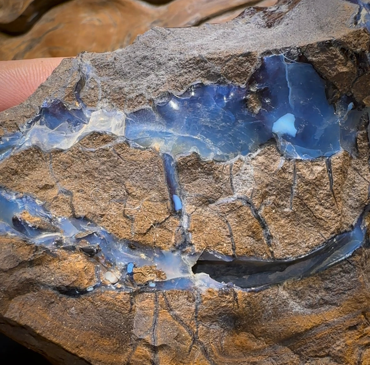 691g - Large Queensland Boulder Seam Opal Rough Specimen - Opal Whisperers