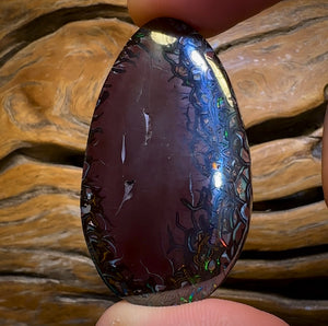 103.2cts - Art Of Opal Quality Top Tribal Queensland Boulder Opal