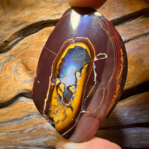 448.4cts - Yowah Nut Kernel Opal. Polished Specimen