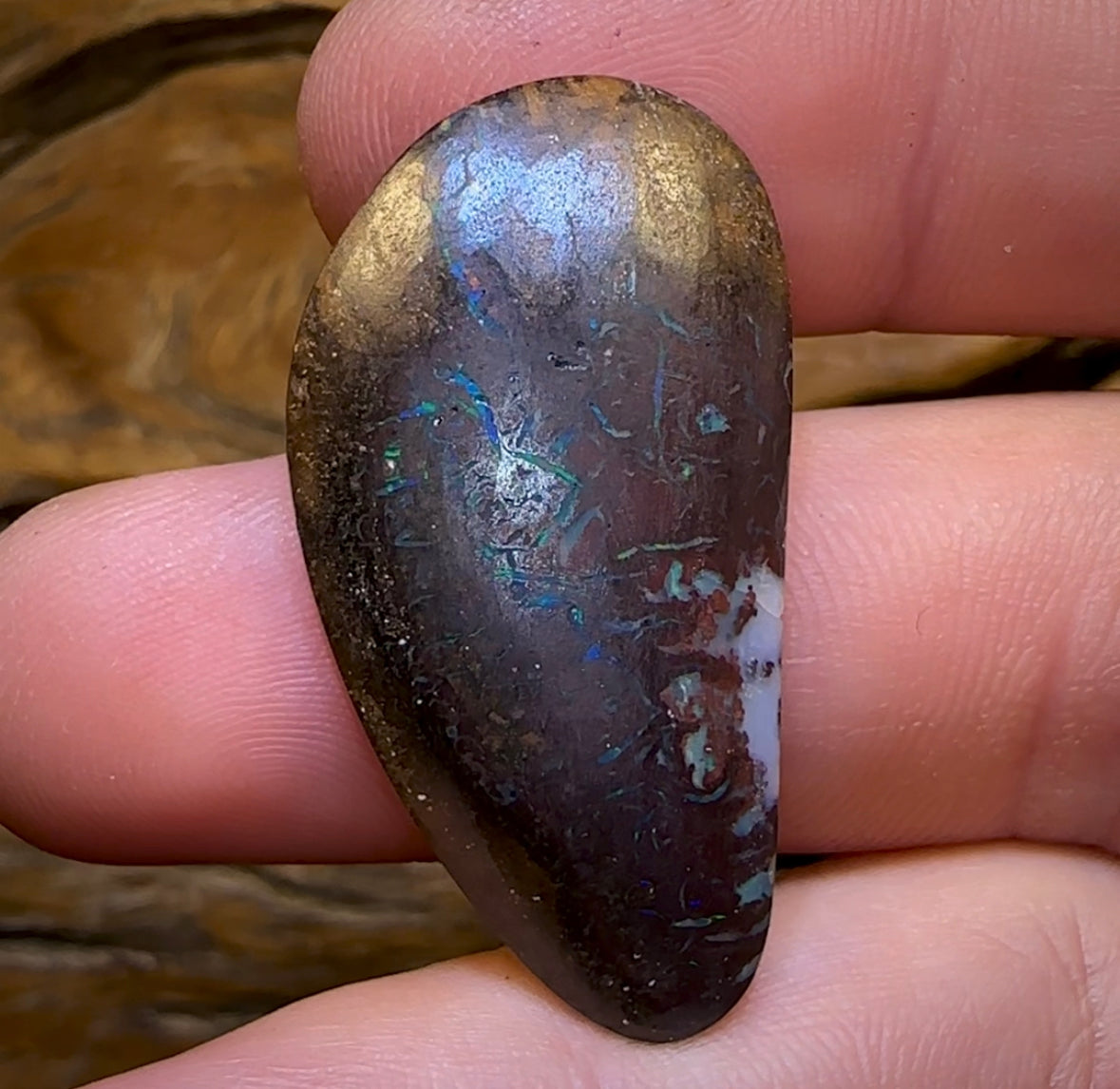 38.8cts - Tribal Queensland Boulder Opal from Koroit