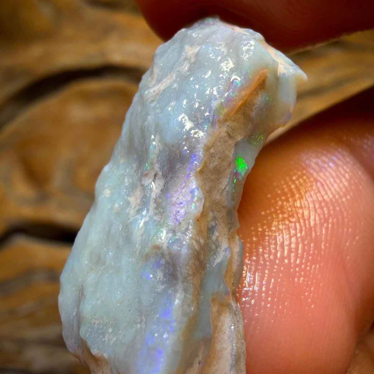 16.6cts - Lightning Ridge Dark Opal Rough Piece
