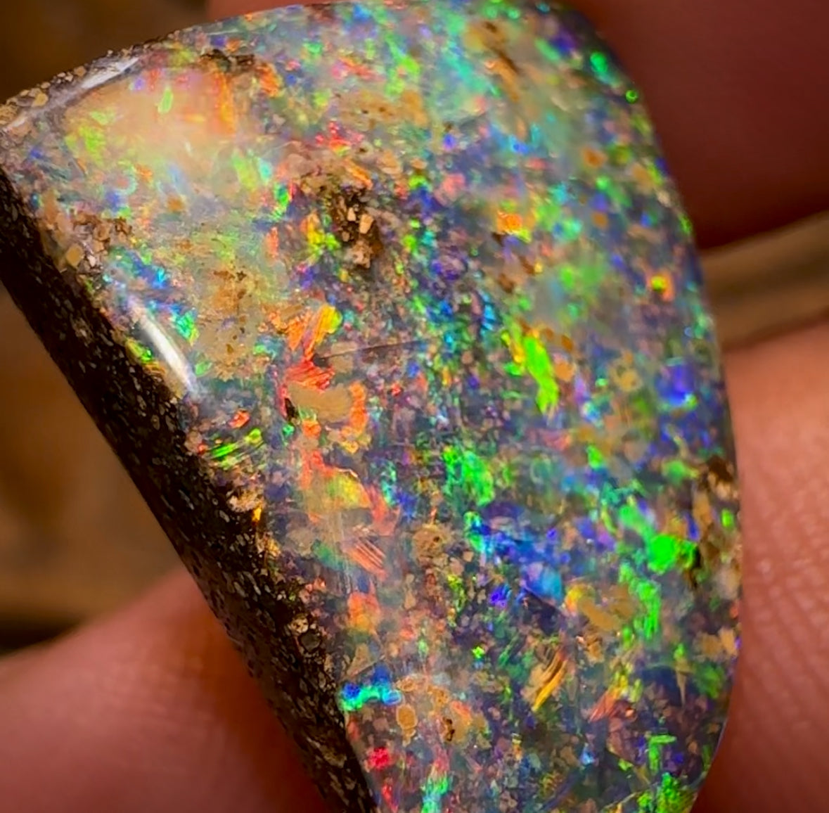 18.8cts - GEM Queensland Boulder Seam Opal. MULTICOLOURS! Banger