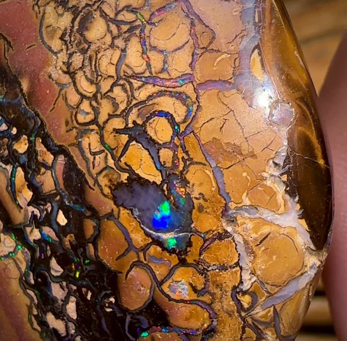 138.6cts - Large Tribal Queensland Boulder Opal