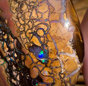 138.6cts - Large Tribal Queensland Boulder Opal