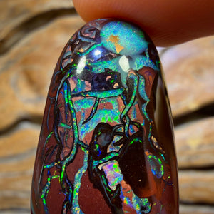 53.9cts - Top Electric Tribal Queensland Boulder Opal