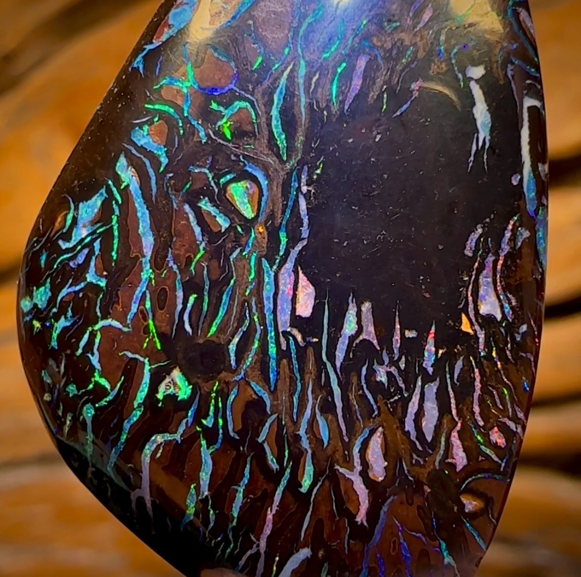59.2cts - Highly Artistic Tribal Koroit Nut Opal. Australian Opal