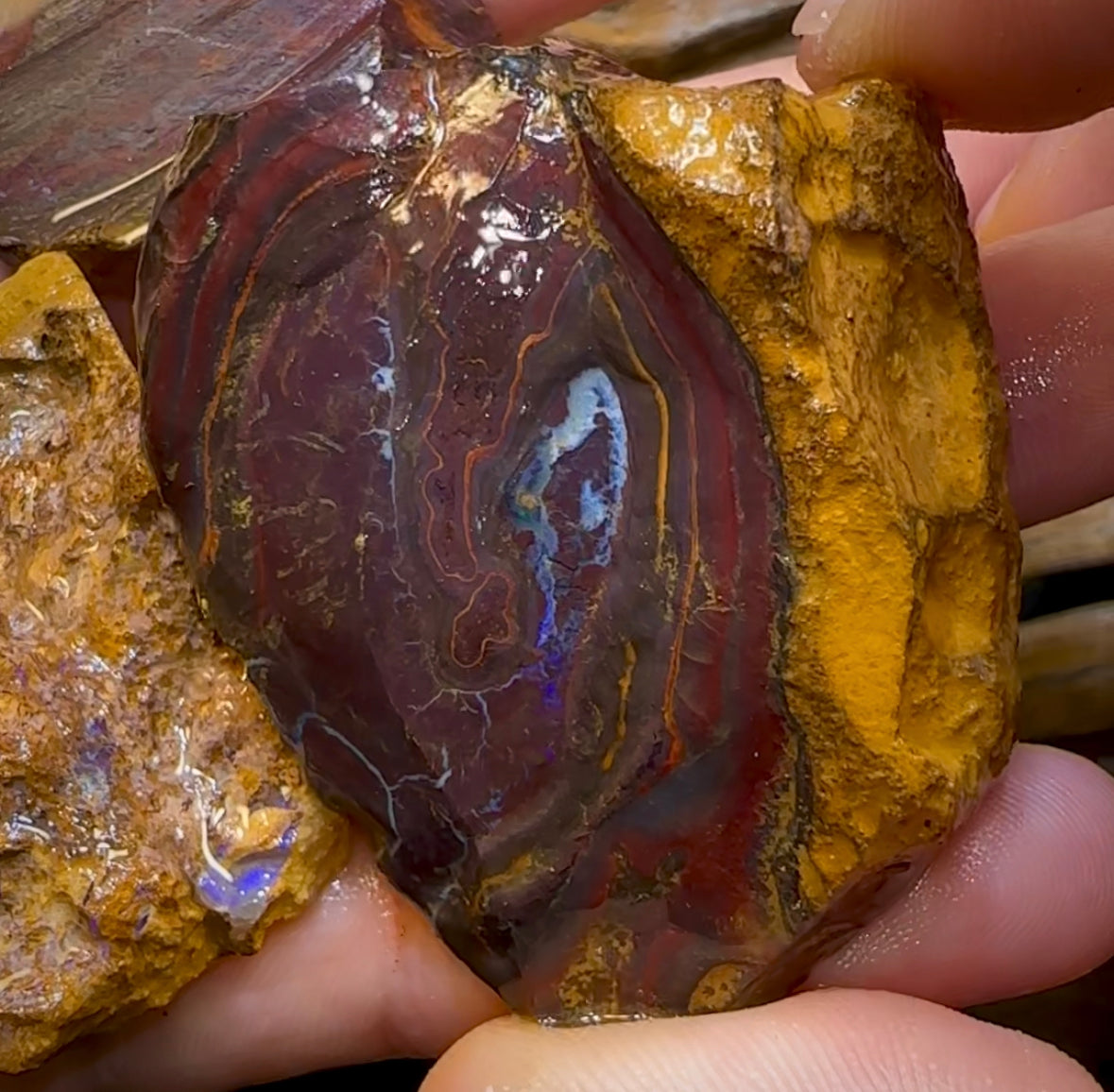 5x Medium Queensland Boulder Opal Potch, Pattern and Colour Rough. BULK LISTING - Opal Whisperers