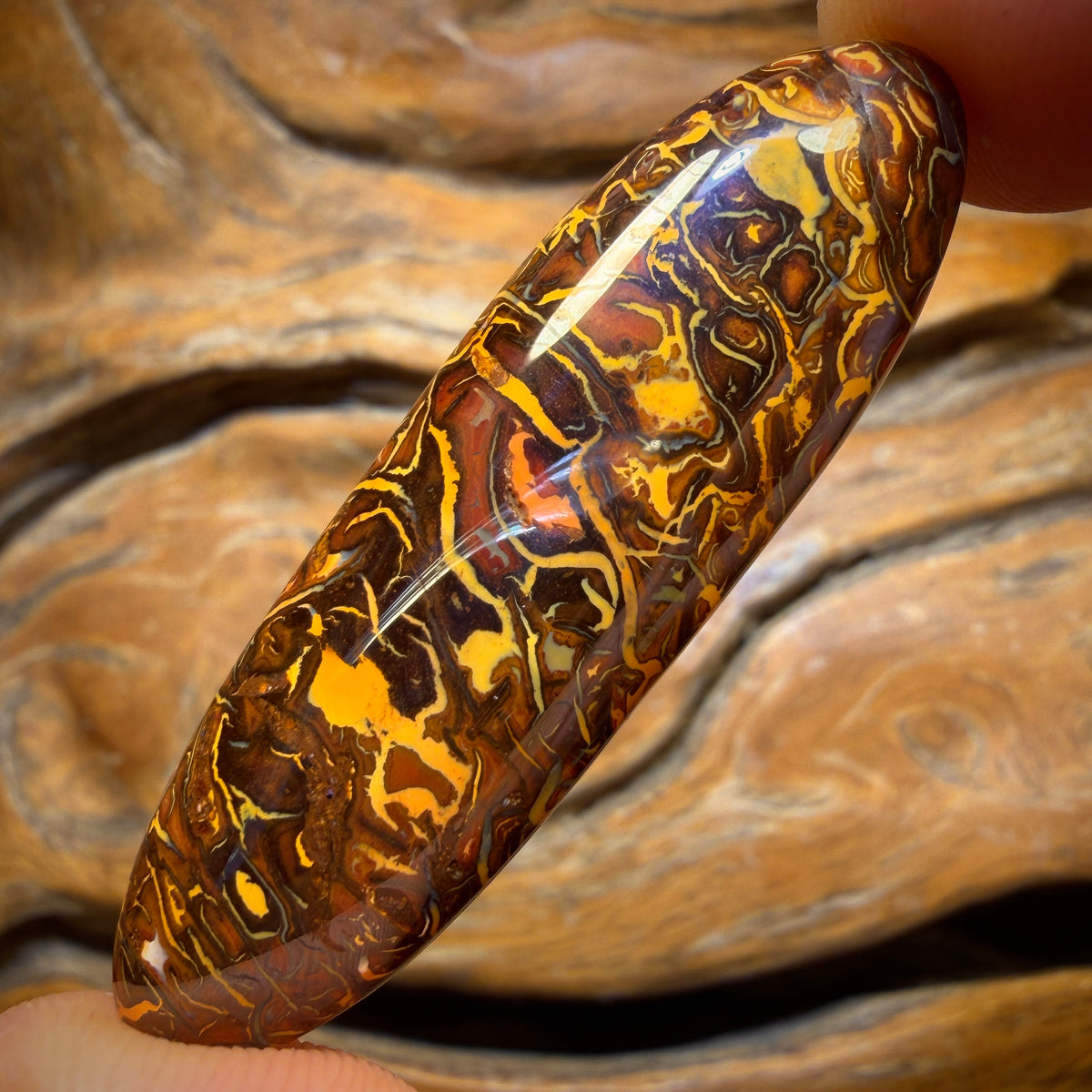 44cts - Tribal Koroit Nut Opal. Australian Opal