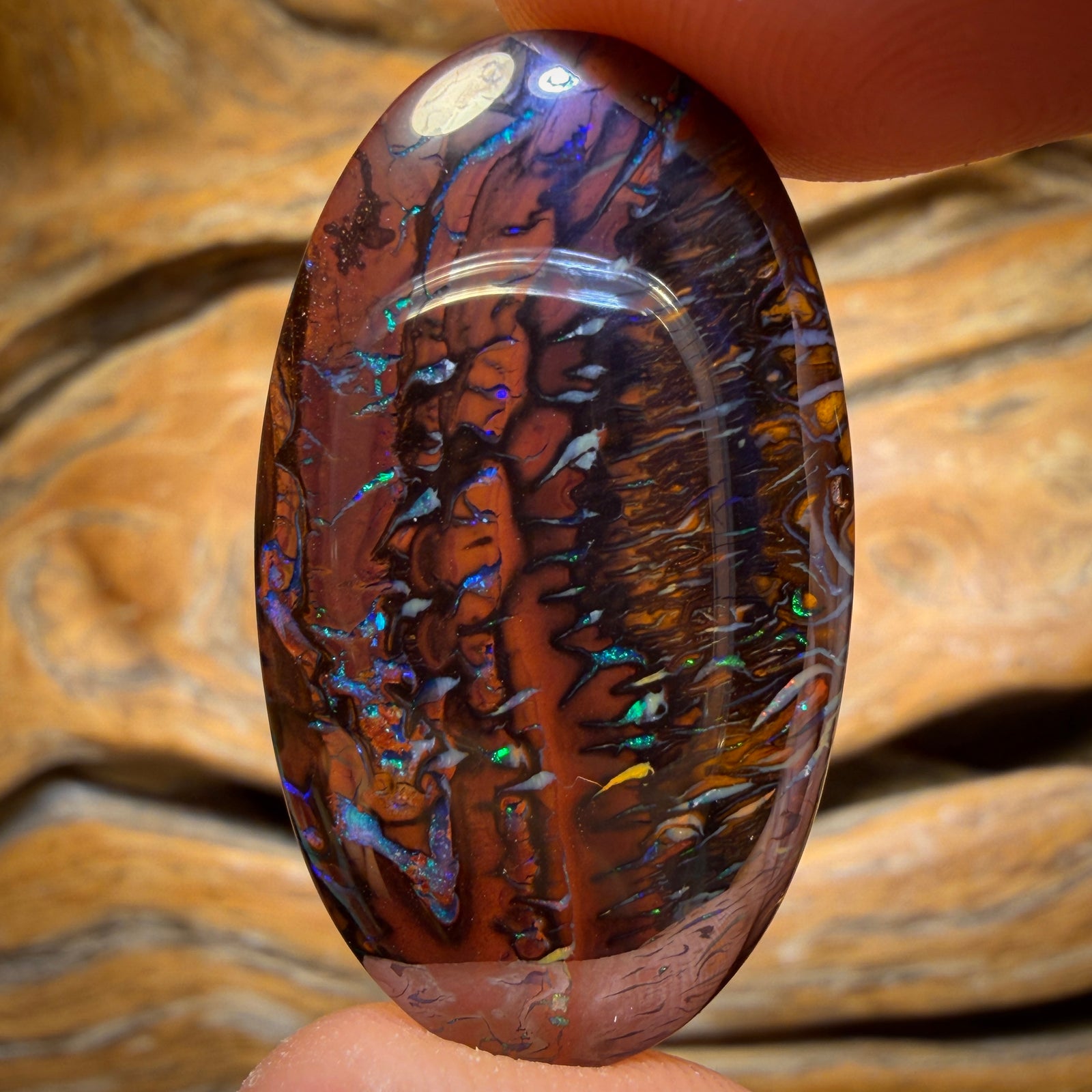 45.4cts - Tribal Koroit Nut Opal. Double Sided