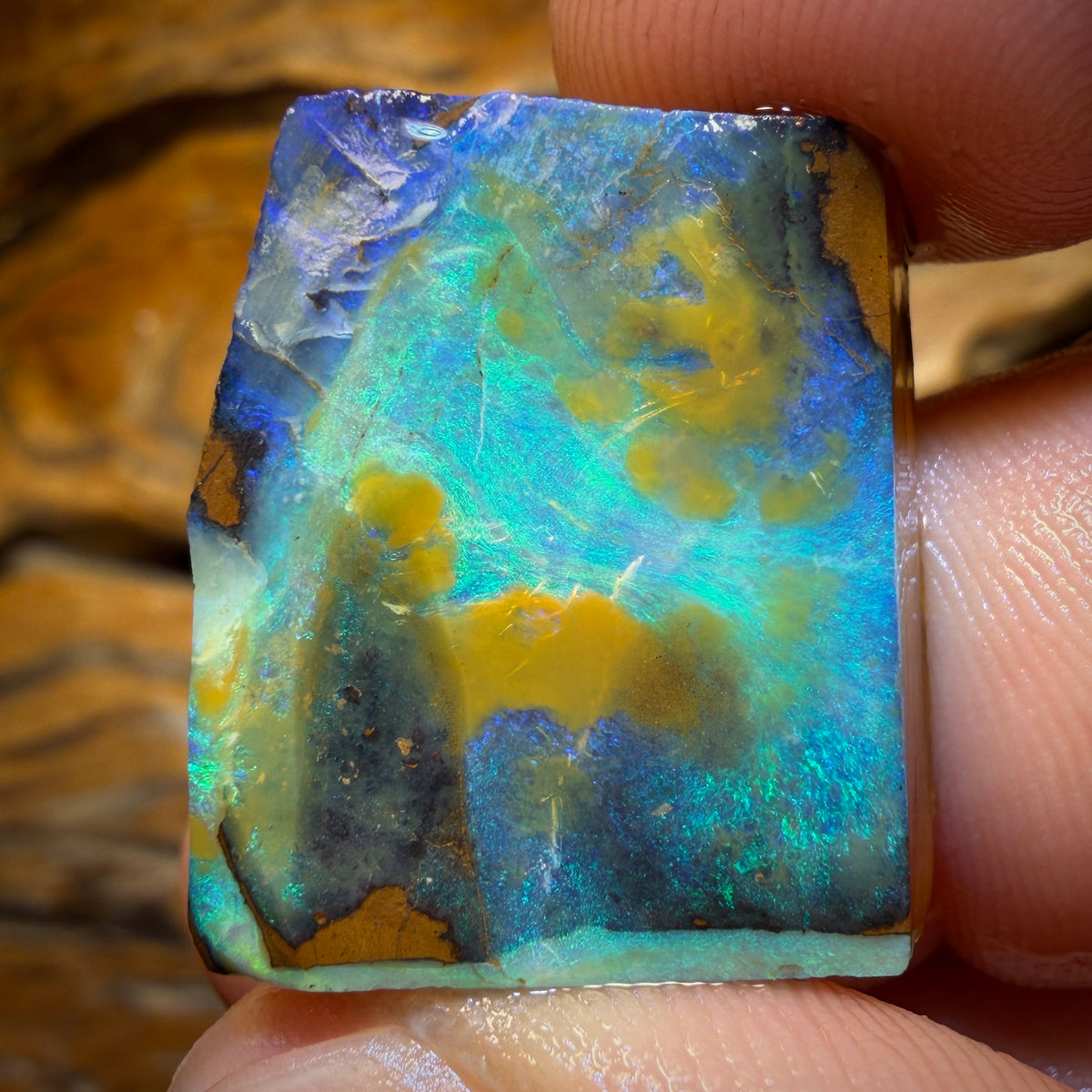45.6cts - Queensland Boulder Seam Opal Rub