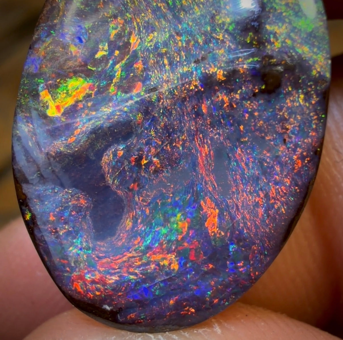 26.1cts -  “Big Red” GEM Queensland Boulder Opal from Koroit. Red Multicolours!!