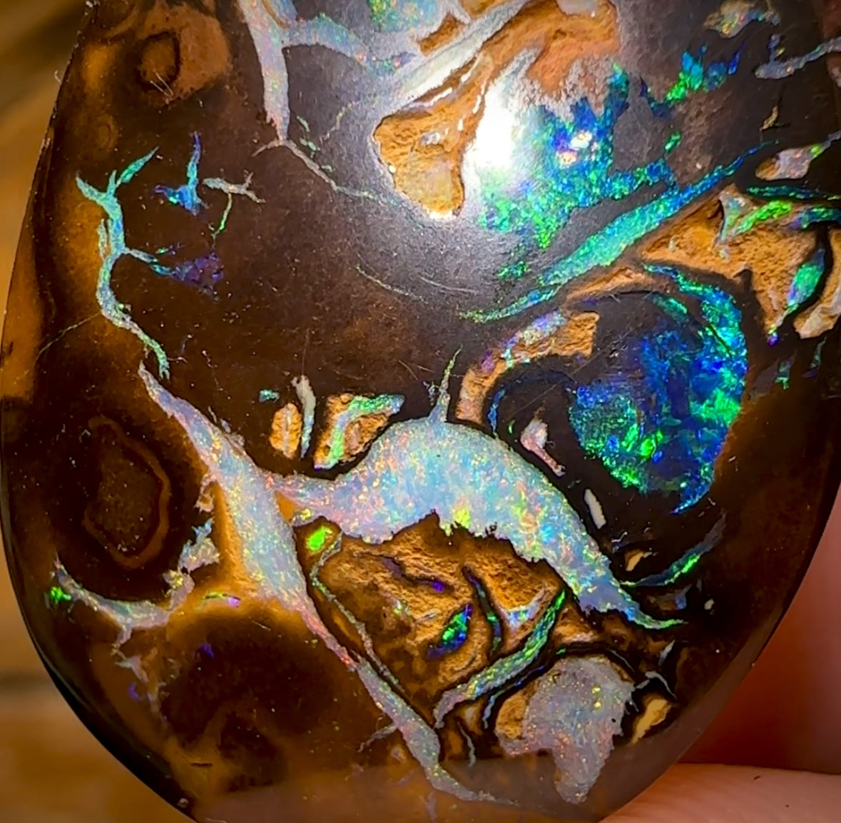 47.9cts - Rare Top Broad Tribal Yowah Nut Opal