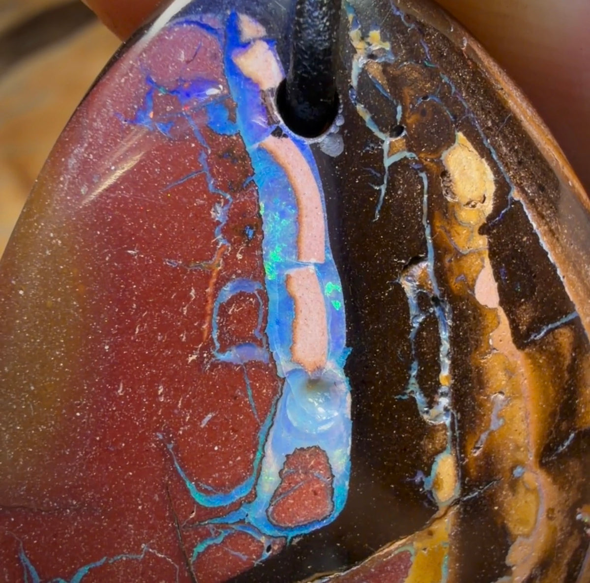 Wildcard! 40 x 32mm - Drilled Tribal Queensland Boulder Opal Necklace