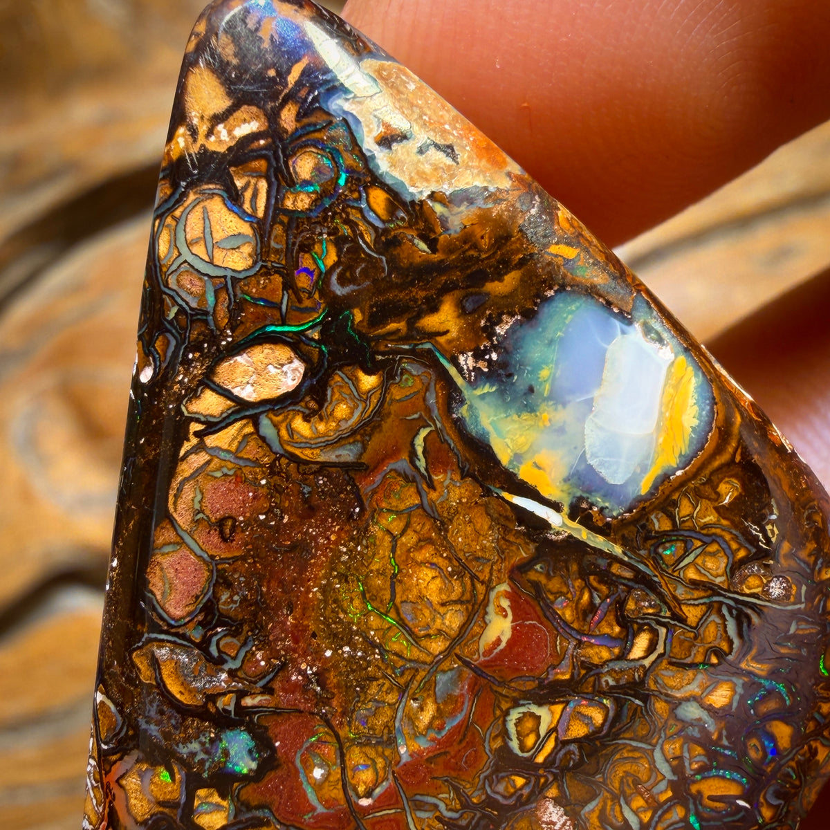 63.9cts - Tribal Queensland Boulder Opal from Yowah