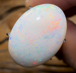 7.6cts - BIG South Australian White Opal BARGAIN