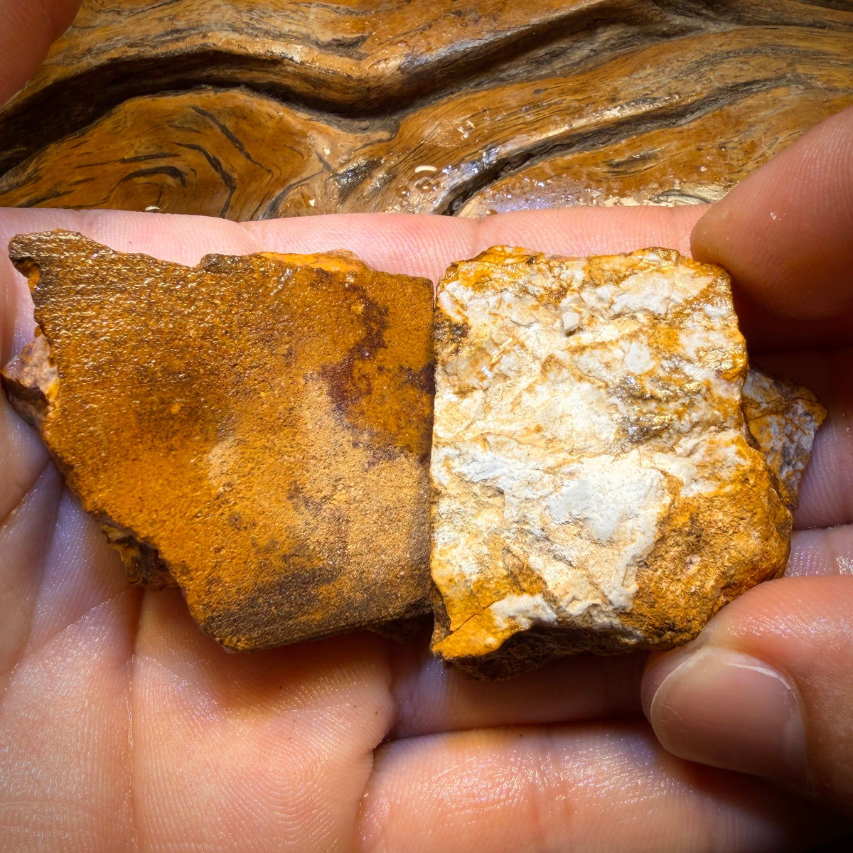 311.9cts - Tribal Yowah Nut Opal Rough Pair. Australian Opal