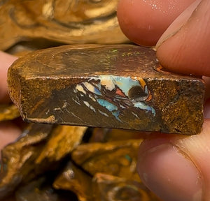 169g - Queensland Boulder Opal Rough Slices - Opal Whisperers