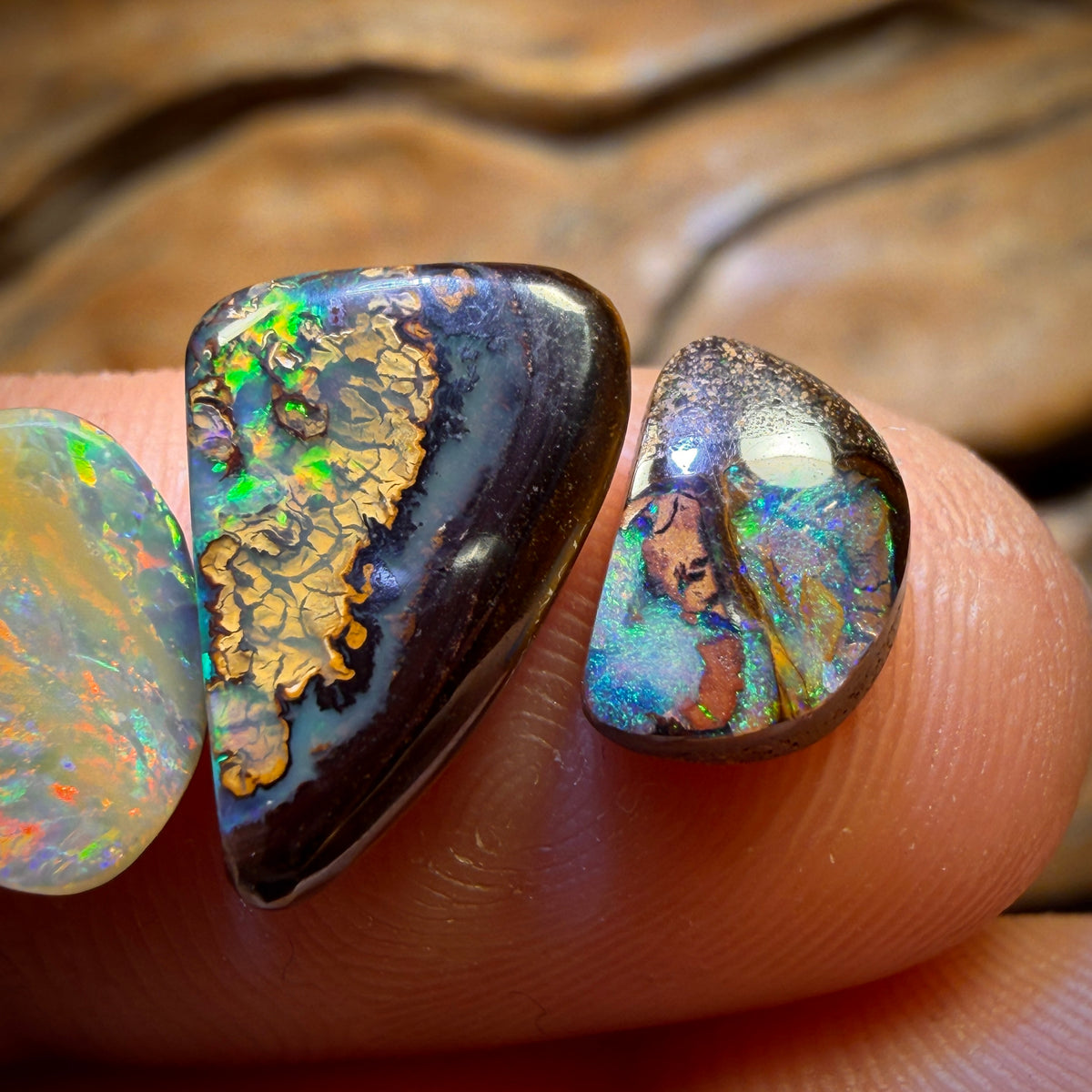 🔒15.4cts - 6x Australian Boulder Opal’s. Wholesale Dealers Parcel